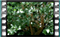 blackbird 8 60x37