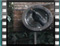 blackbird-male-18-4-2016-730pm-scene0001