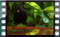 blackbird.M 2019-03-02-13-38-08-01w