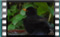 blackbird.M S1210001