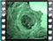 nightingale NEST 7 60x46thumbs