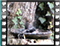 nightingale 1 60x46