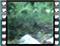 nightingale 2 60x46