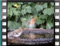 robin et-al-20070311-13.31.49cr
