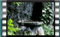 Great-Tit M2U00565