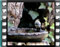 great tit juvenile water 1