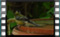 great.tit 2019-03-02-12-57-12-01w