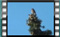 linnet-like-00009 23-12-2015