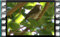 M2U01060