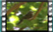 M2U01061