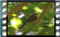 M2U01062a