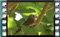 M2U01062c
