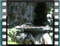Sard takeoff-sound '20120509
