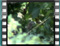 atsirovaFeeding 2x 8 2004 5