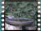 WARBLER-ISWS-Dcr-